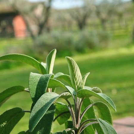 Agriturismo La Mandragola Relais Crotone Ngoại thất bức ảnh