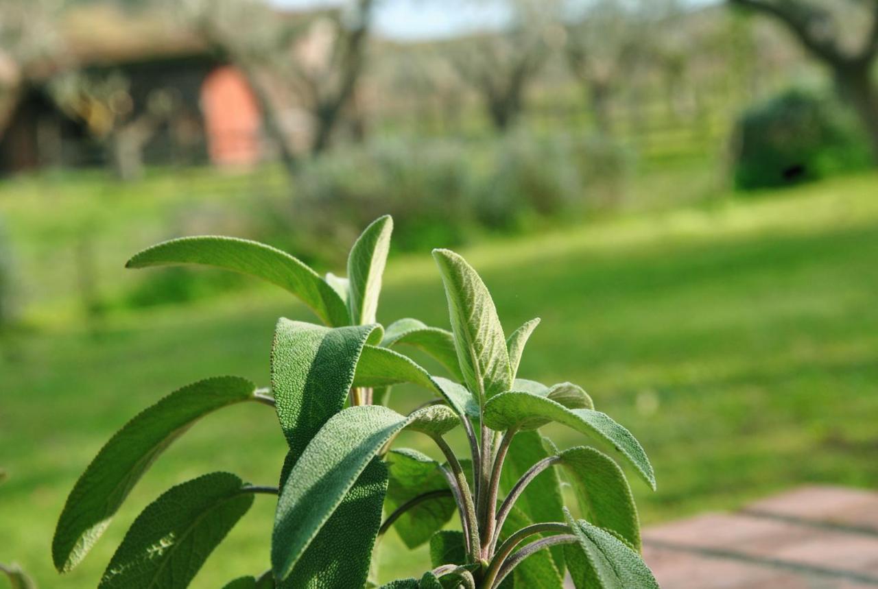 Agriturismo La Mandragola Relais Crotone Ngoại thất bức ảnh