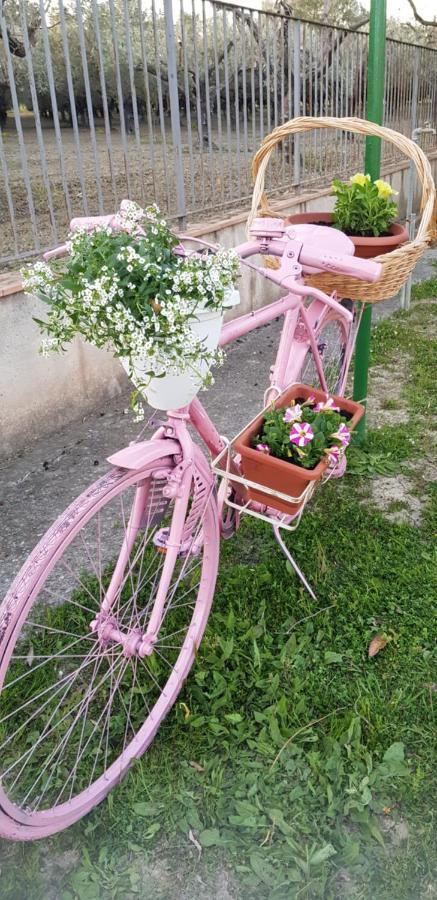 Agriturismo La Mandragola Relais Crotone Ngoại thất bức ảnh