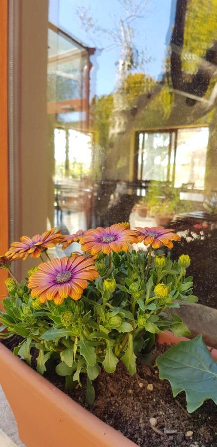 Agriturismo La Mandragola Relais Crotone Ngoại thất bức ảnh