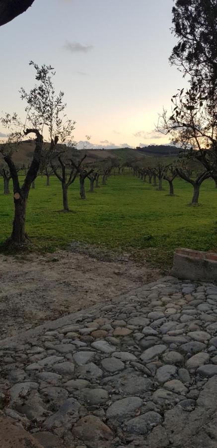 Agriturismo La Mandragola Relais Crotone Ngoại thất bức ảnh