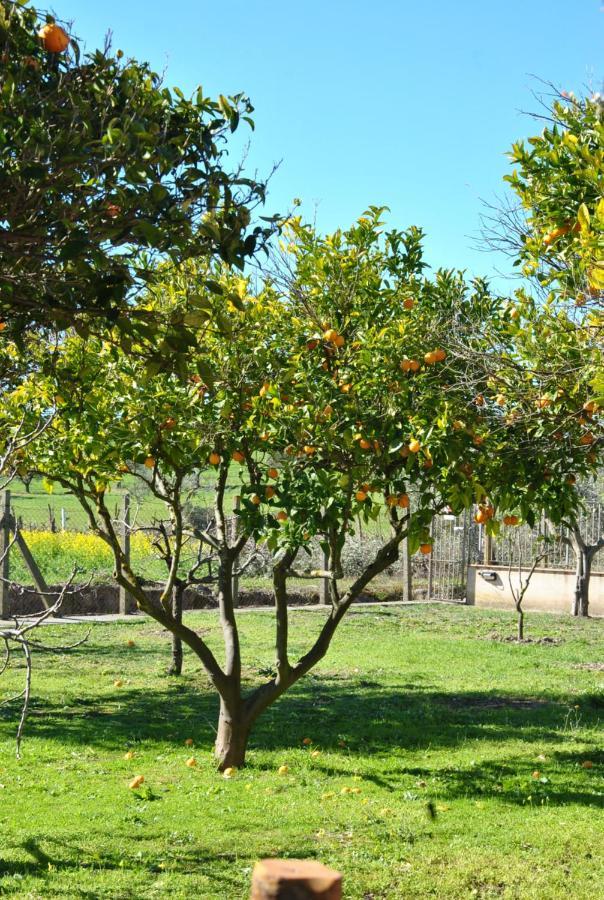 Agriturismo La Mandragola Relais Crotone Ngoại thất bức ảnh