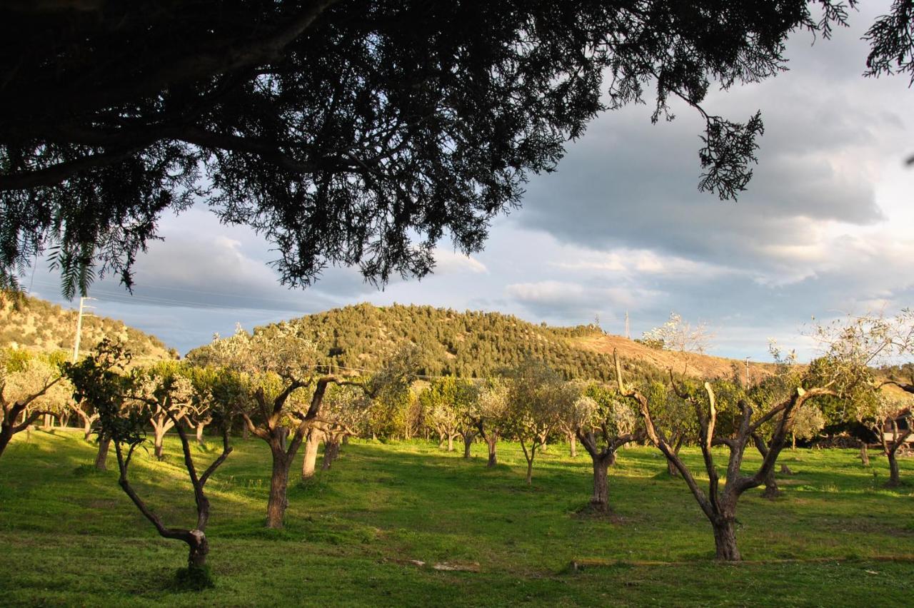 Agriturismo La Mandragola Relais Crotone Ngoại thất bức ảnh