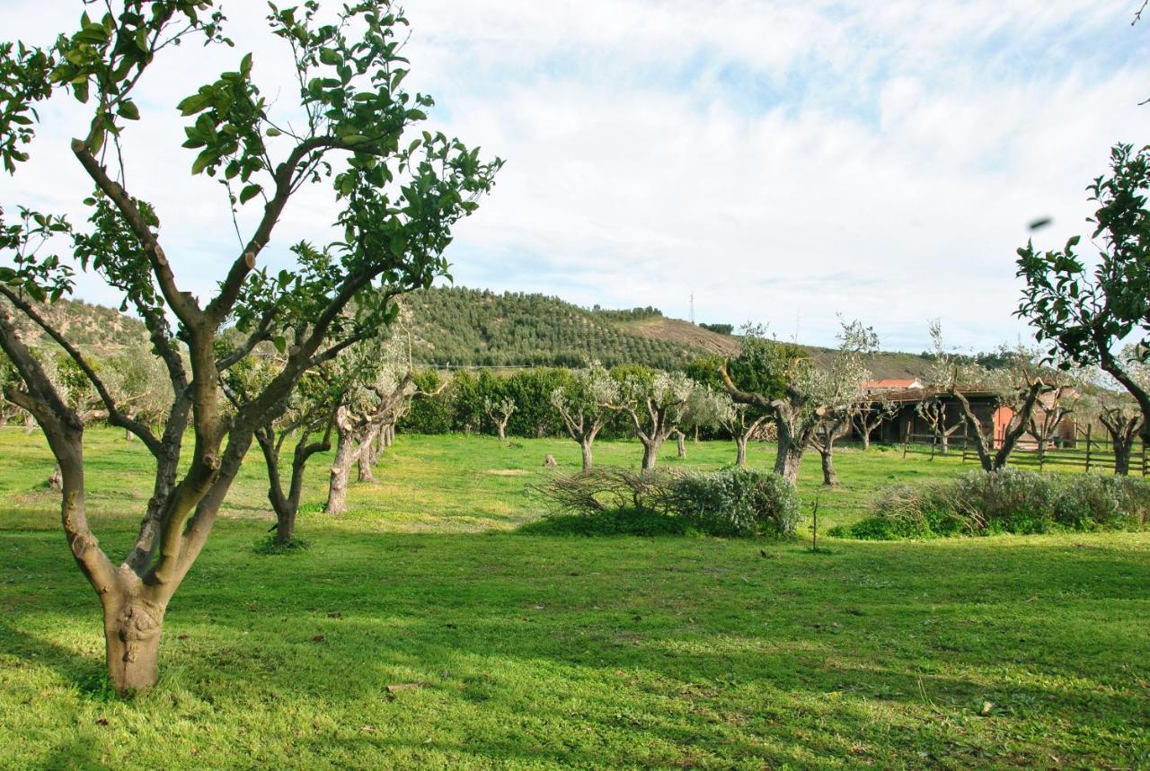 Agriturismo La Mandragola Relais Crotone Ngoại thất bức ảnh