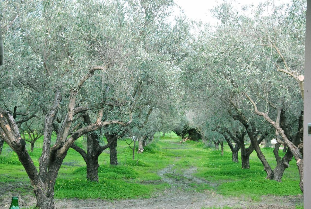Agriturismo La Mandragola Relais Crotone Ngoại thất bức ảnh